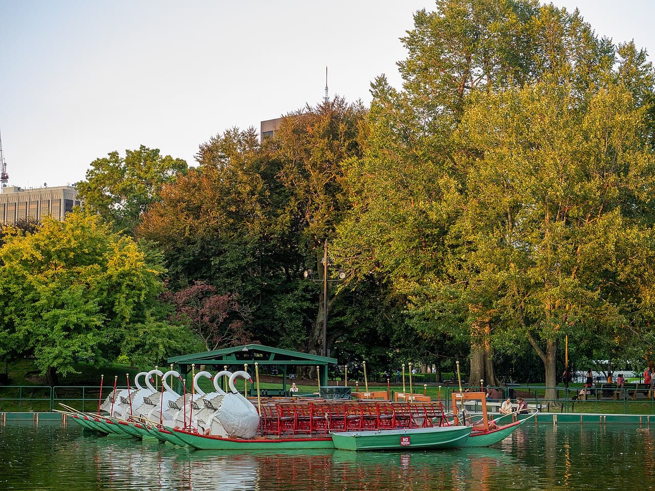 Swan boats tied up on the lagoon in Boston's Public Garden, with tall trees behind them